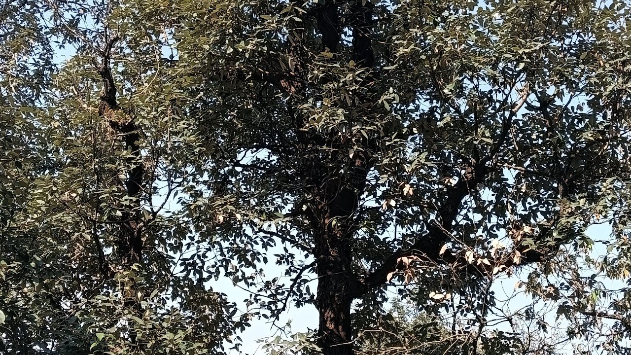 एक प्यारी सी घाटी🌺🌺