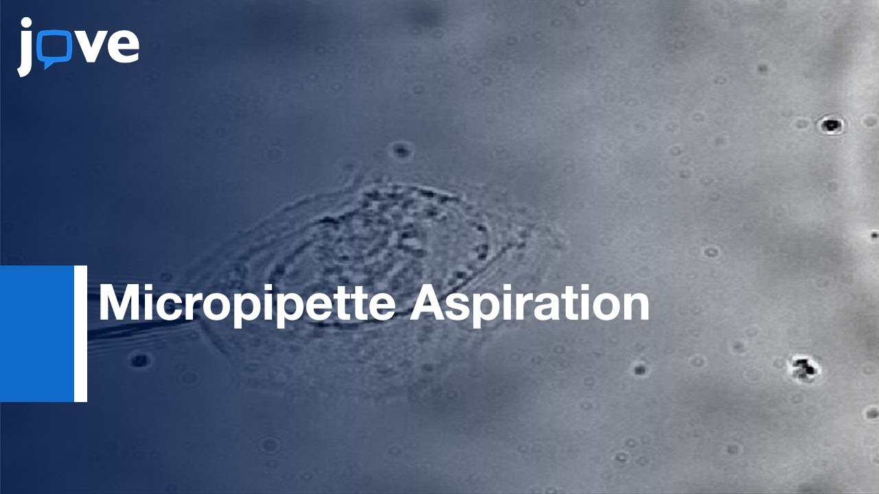 Micropipette Aspiration Of Substrate-Attached Cells To Estimate Cell Stiffness l Protocol Preview