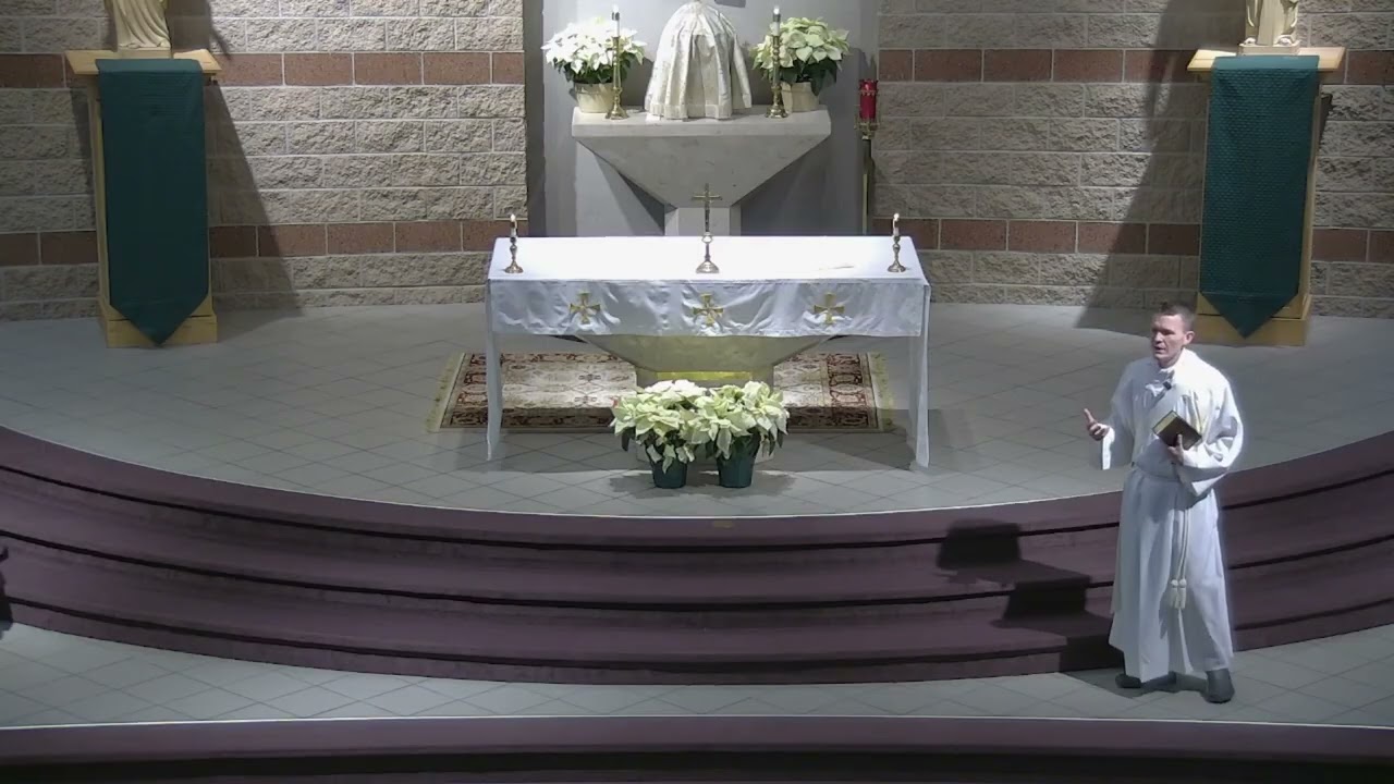 Вторник, 1-я неделя рядового времени, 2-й год обучения.