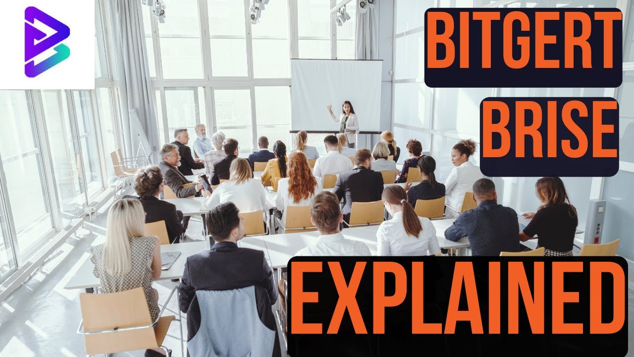 BITGERT BRISE Review - Is It a Scam or Not?