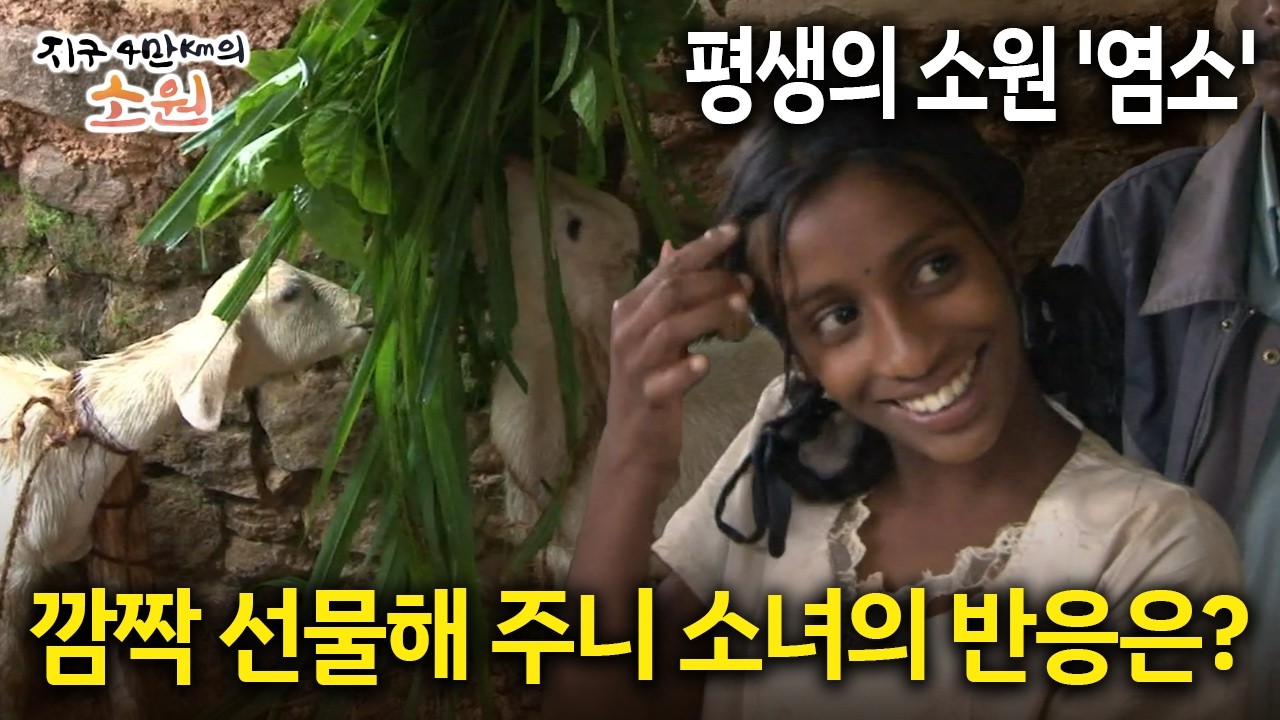 평생의 소원 '염소' 깜짝 선물해 주니 소녀의 반응은? [지구 4만Km의 소원 4화-5]