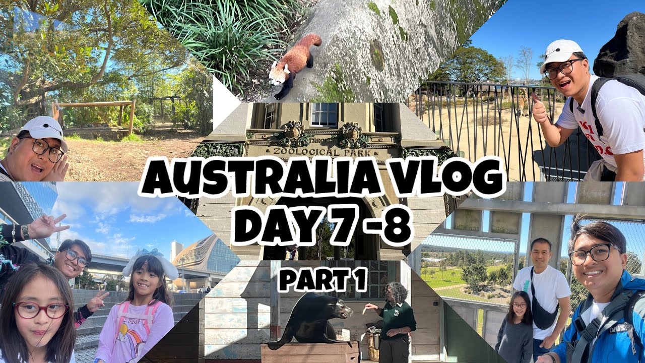 Darling Harbour, Timezone, BBQ & Taronga Zoo  | The Perfect Sydney Day 🇦🇺