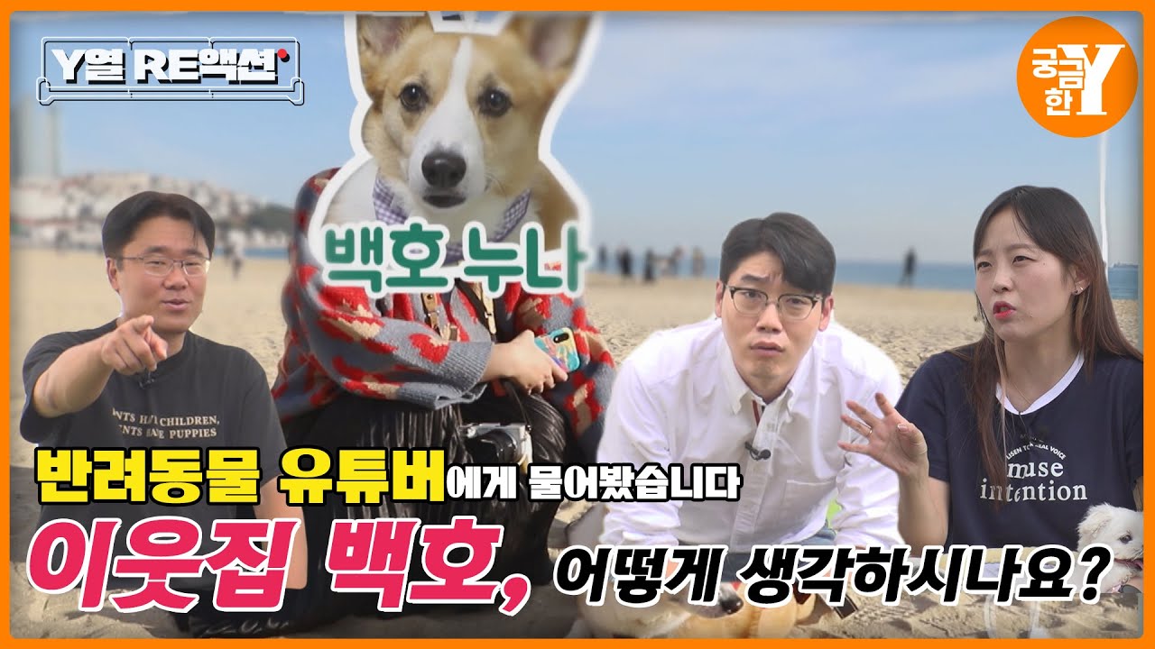댕댕이들과 함께 본 이웃집 백호 (※애니멀봐 아님주의) | Y열 RE액션