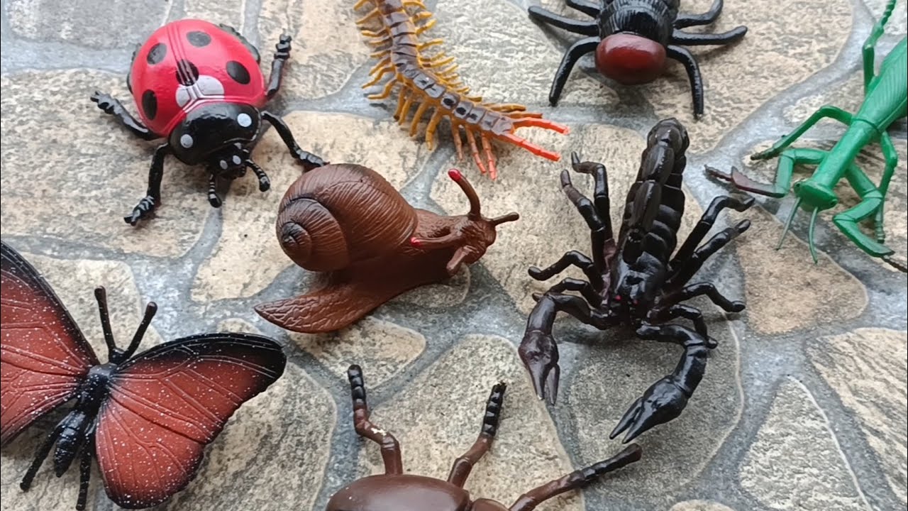 Brincando com animais de brinquedo - Curiosidades sobre insetos 🐌 🦋 🐞 🦂