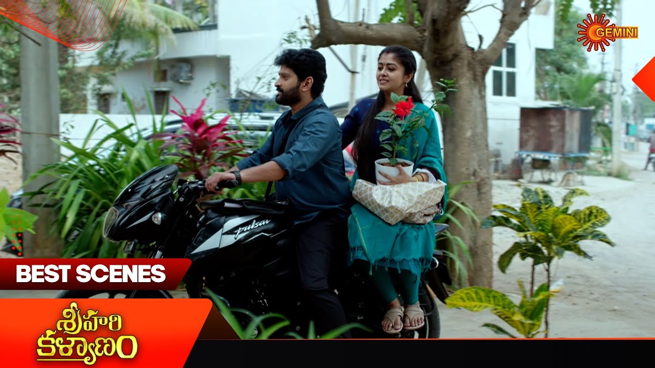 Sri Hari Kalyanam - Best Scenes | 12 Mar 2026 | Telugu Serial | Gemini TV