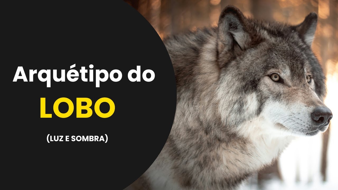Arquétipo do LOBO | LUZ E SOMBRA