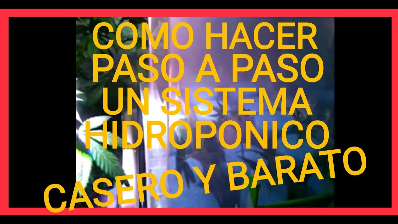 👉COMO HACER el MEJOR SISTEMA HIDROP&Oacute;NICO DWC CASERO BARATO✔ (PASO A PASO) DIY hydroponic system
