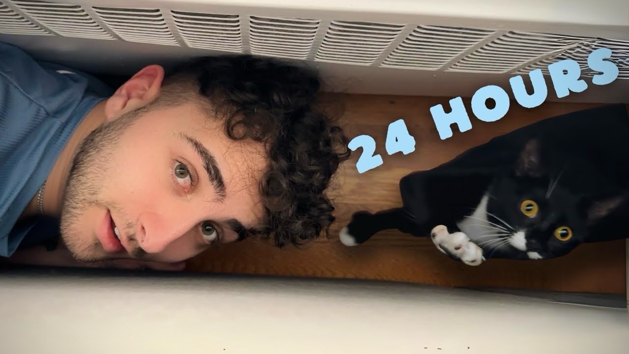 I Lived 24 Hours Like my Cat…