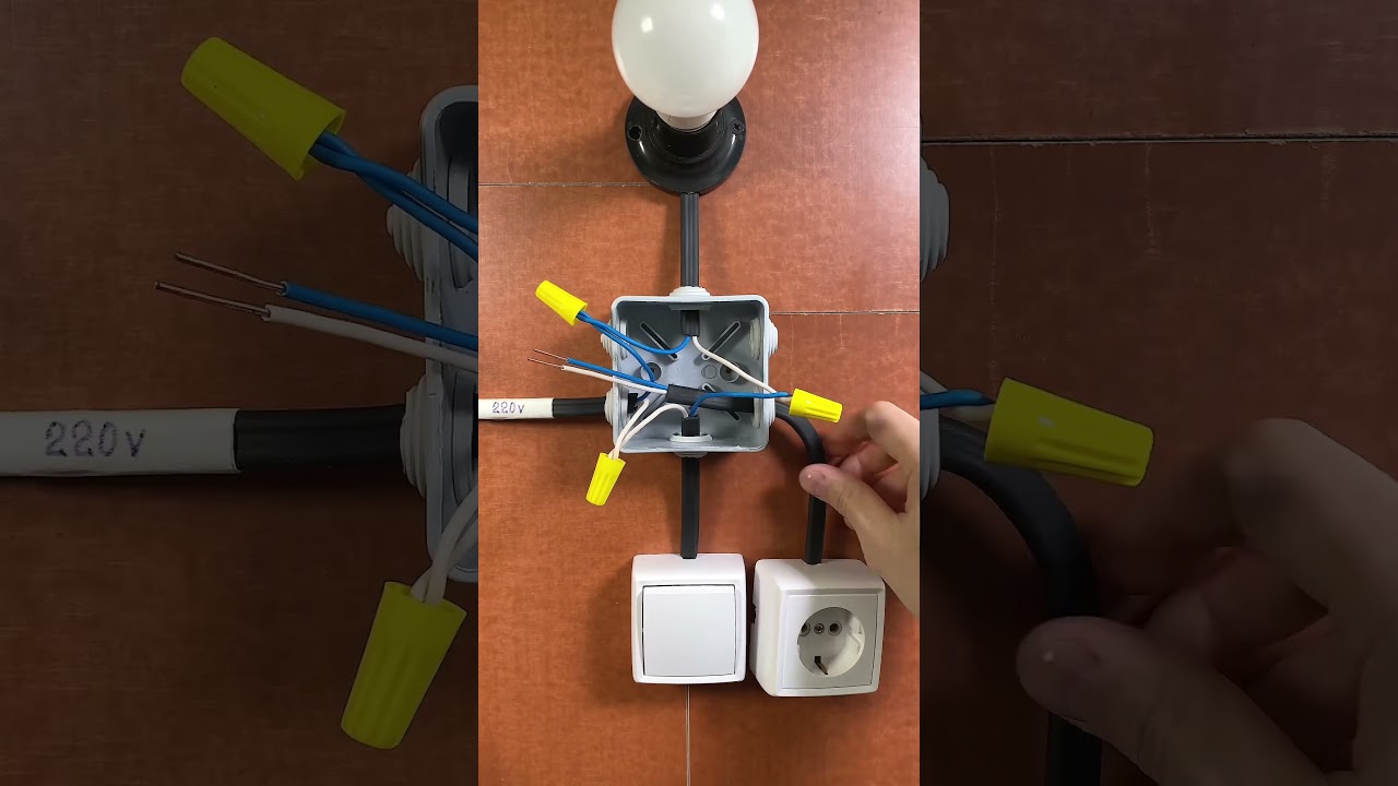 Как подключить лампочку, выключатель и розетку #220volt #электричество #сделайсам