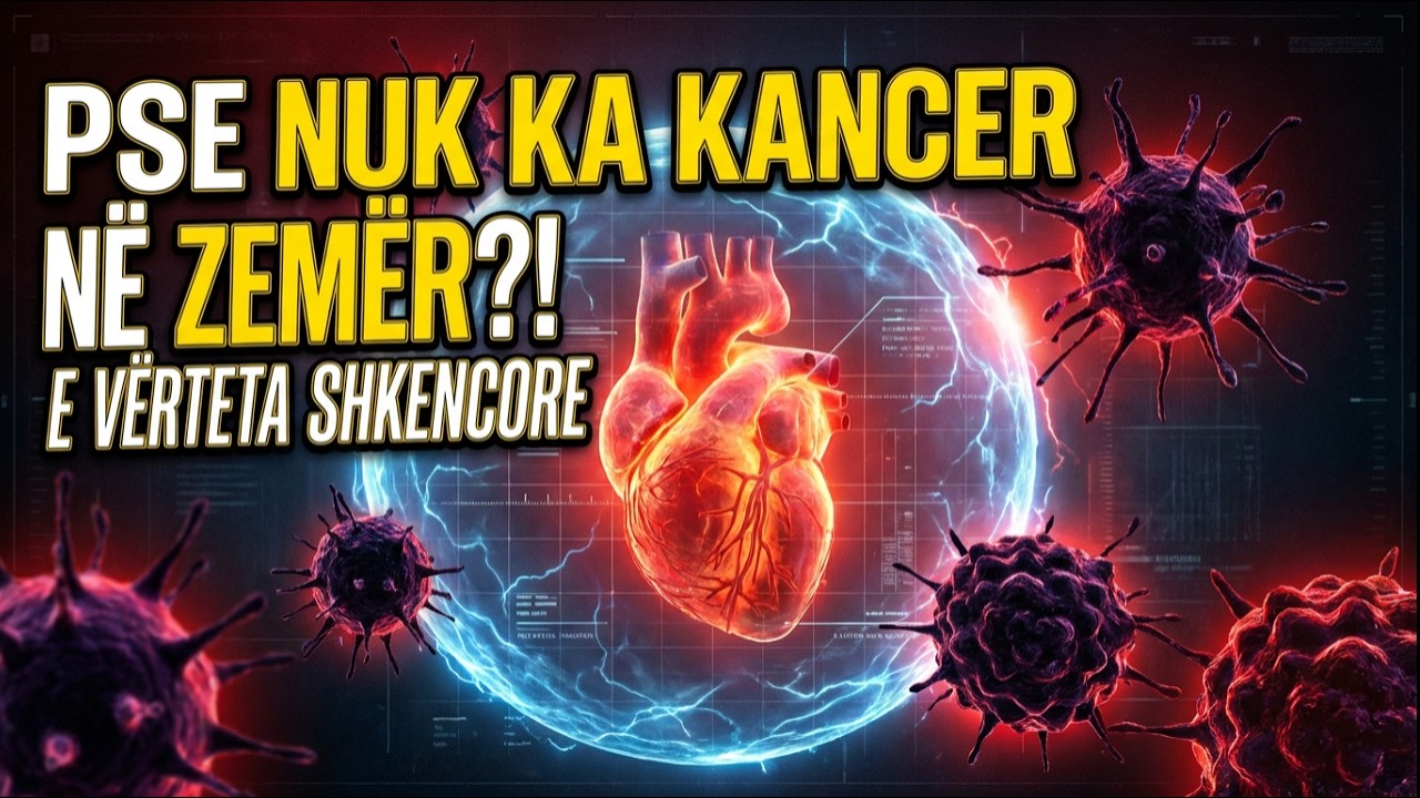 Pse Nuk Ekziston Kanceri i Zemrës? – E Vërteta që Pak Njerëz e Dinë