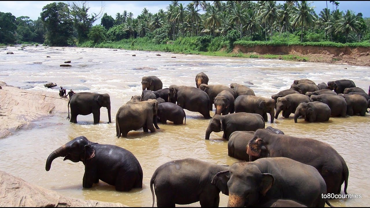 Ceylon – eine klassische Rundreise mit Chauffeur [DE]