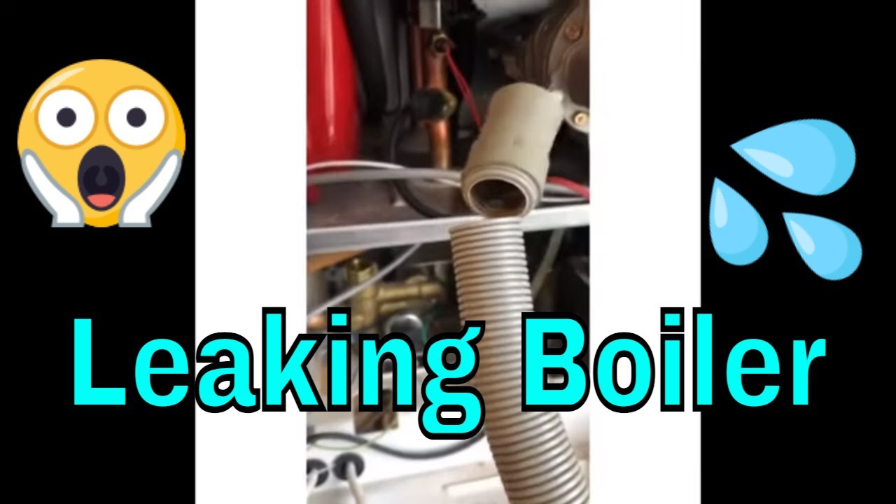 Leaking Potterton Boiler - Plumbers Videos - Pete Withers One Plumbing Essex