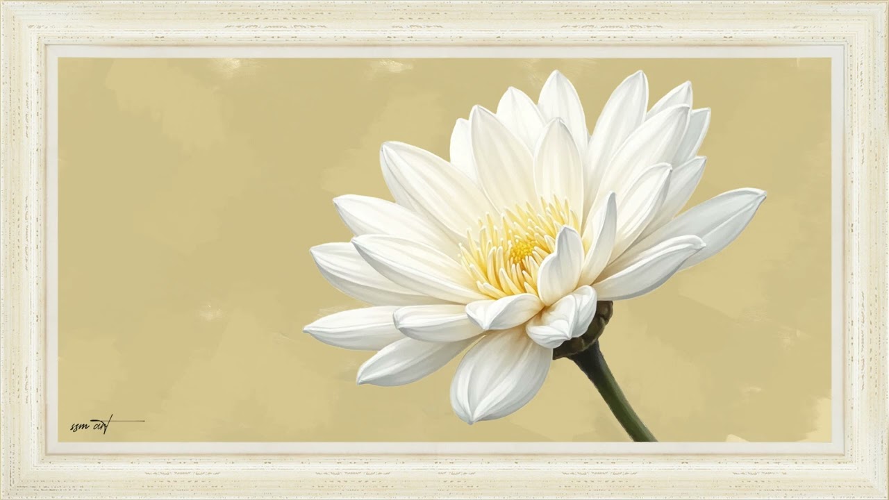 White Lotus Acrylic Painting &mdash; 1-Hour Silent Art Loop for Room Decor & Deep Focus | SSM Art