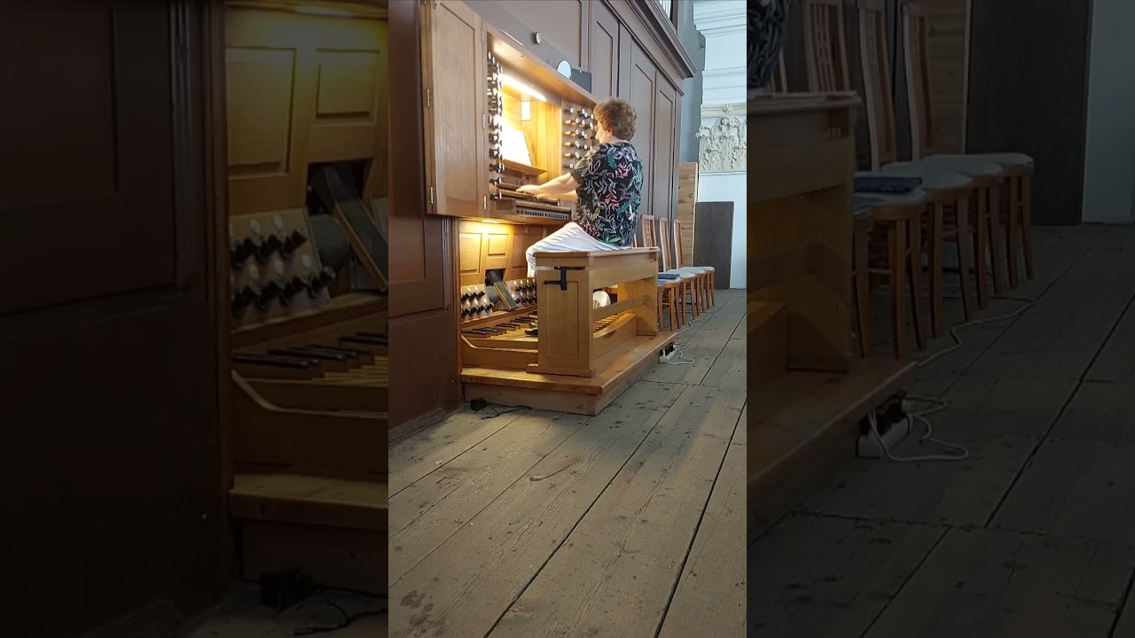 Johann Sebastian Bach: Preludium in c moll BWV 546, Csilla Alföldy-Boruss  /H/