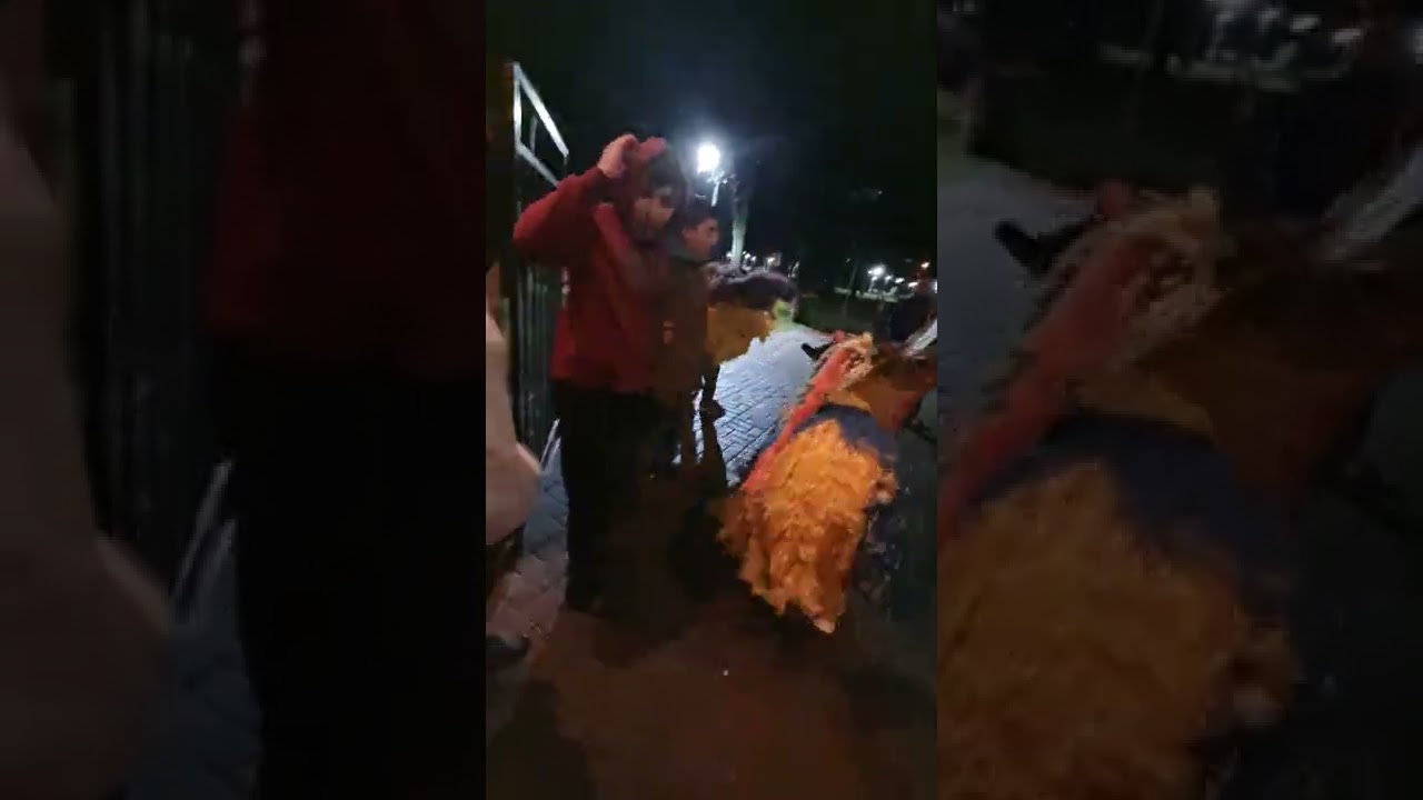 Capra din marasesti