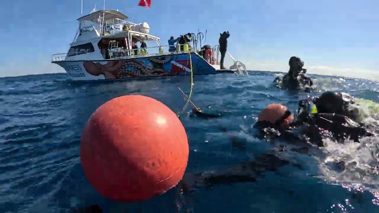 Scuba Diving the Vermillion. SC pt.2