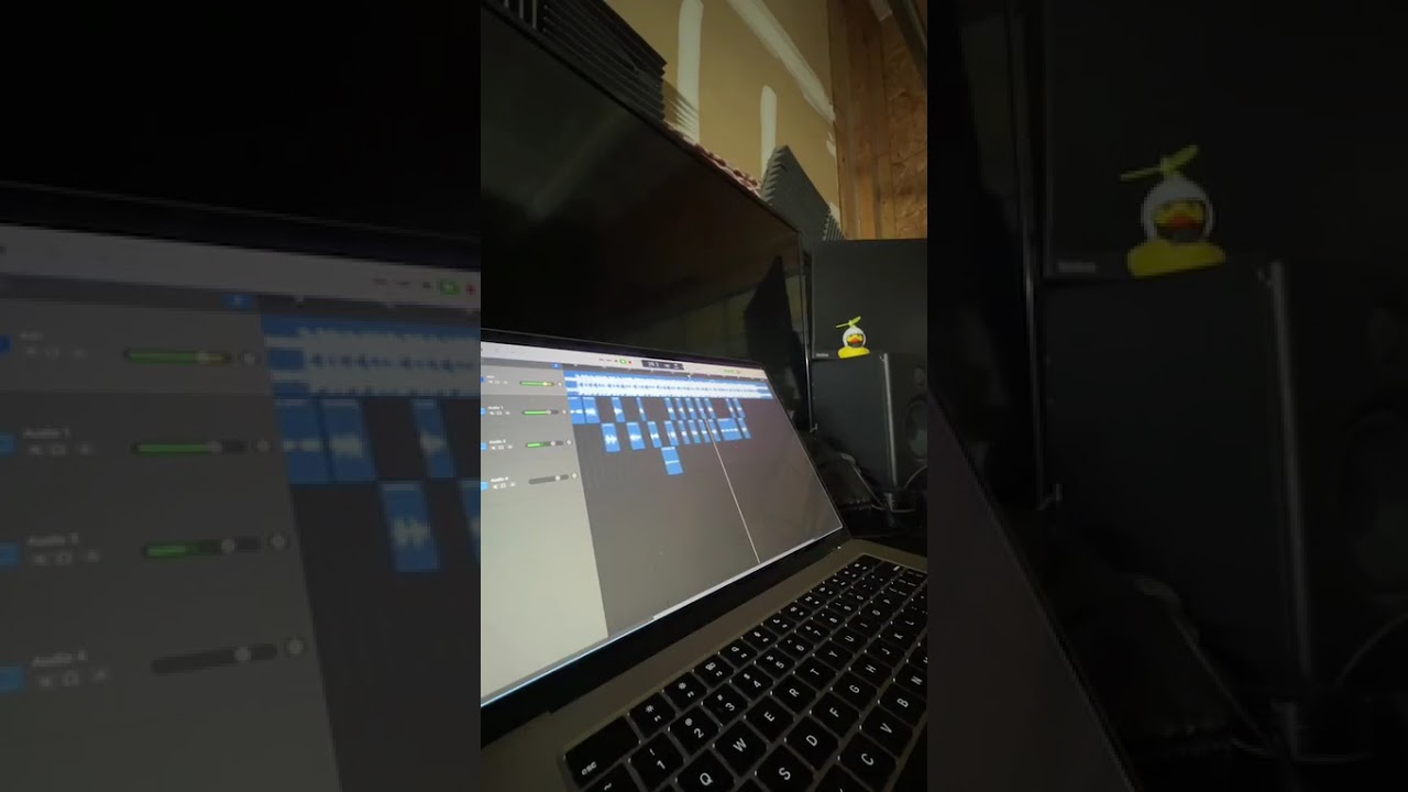 Creating snail wins live