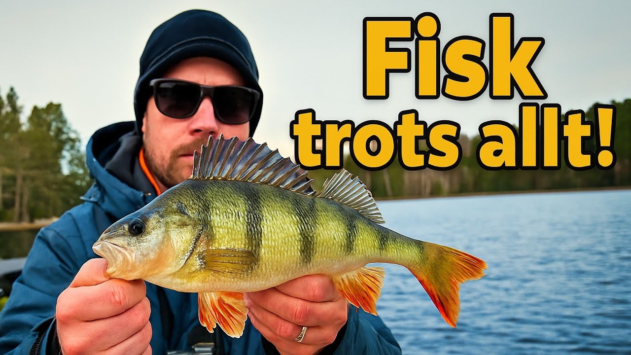 En lista på vad som strulade idag: ALLT... - men ABBORRE fick vi iallafall!