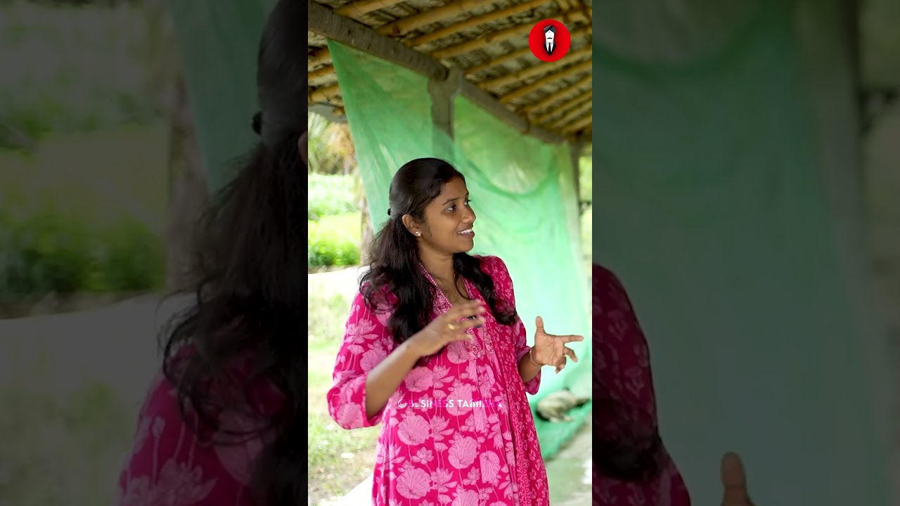 🐛 Earn Lakhs Per Year with Silkworm Farming! A traditional business with modern profits! 💰✨
