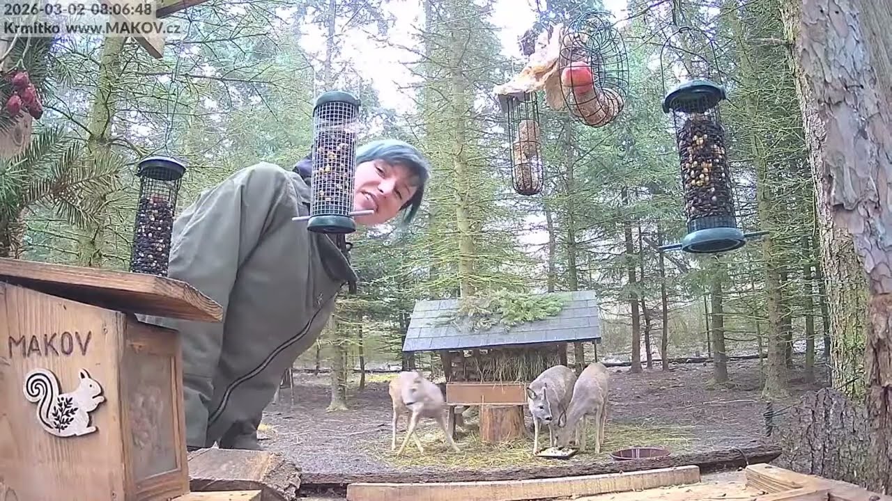 2.3. - Kristýna servíruje krmení, uklízí a snídat jdou srnky, Mufi, jeřáb Jonáš i Johanka