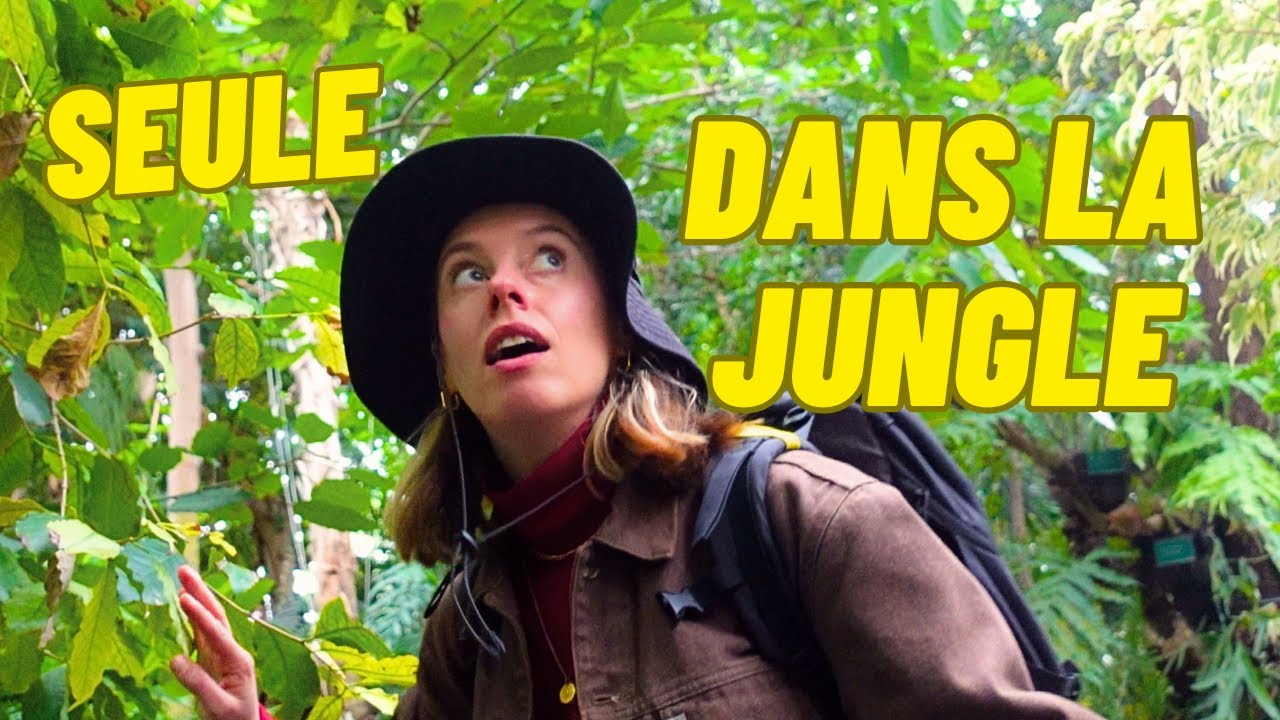 JE PARS DANS LA JUNGLE TROPICALE (le faux documentaire)