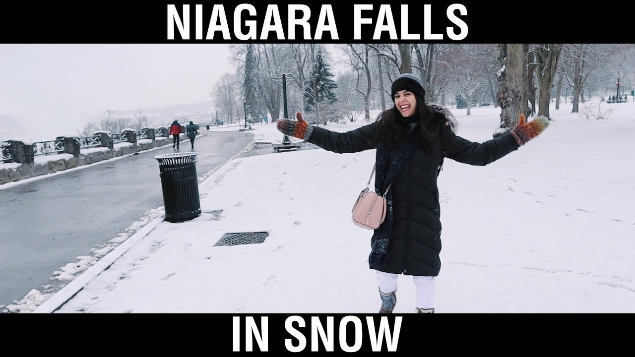 Niagara Falls in Winters