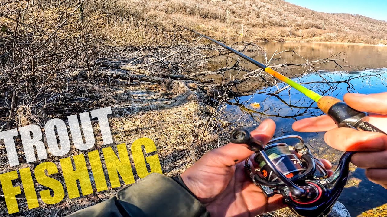 Trote Fario e Iridee a spinning ultralight - Pesca alla trota in torrente - APERTURA 2022