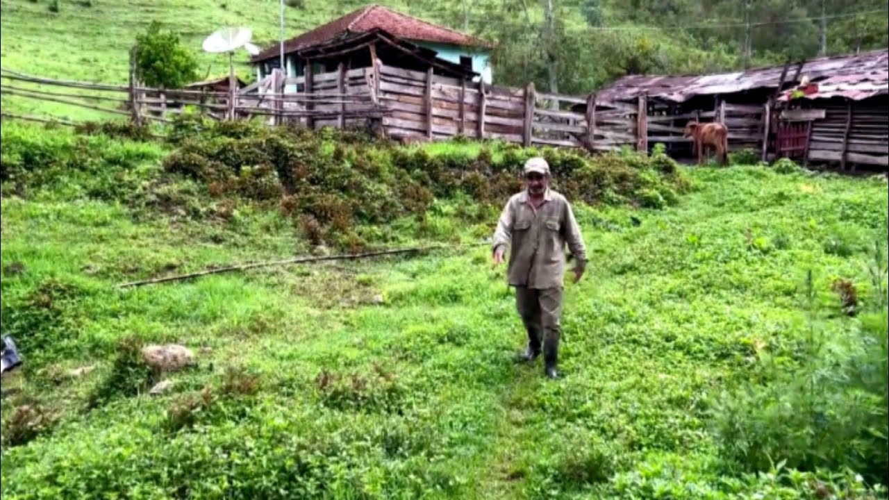ELE TEM 62 ANOS NUNCA NAMOROU ELE TEM UMA HUMILDADE  #sitio #agriculturafamiliar #roça