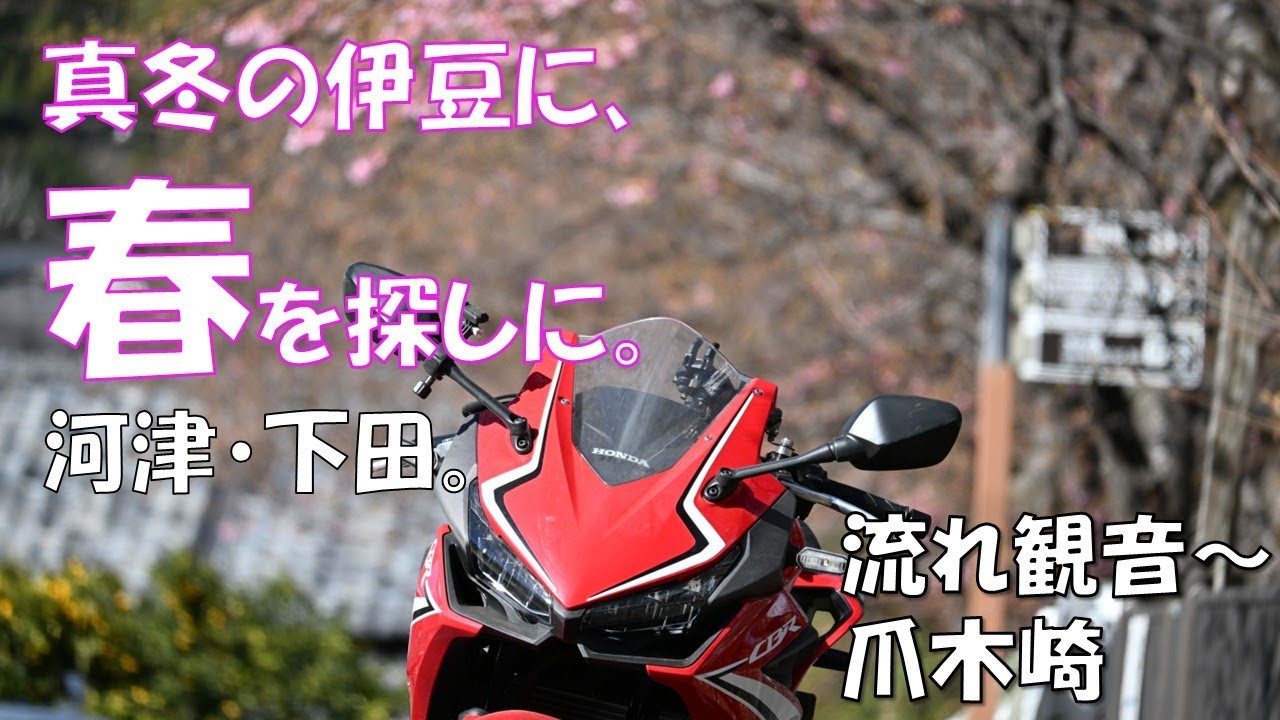 【CBR400R】真冬の伊豆に春を探しに・河津・下田・流れ観音～爪木崎
