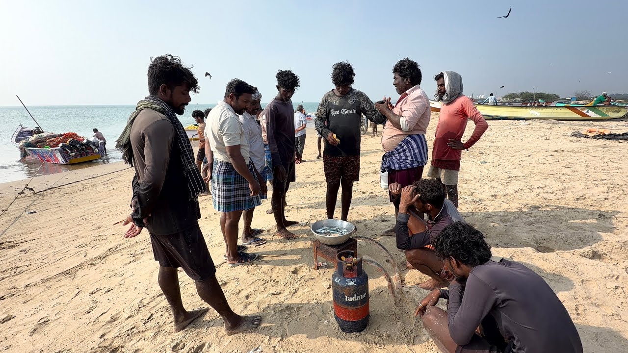 இப்படி கூட்டமா மீனை கடல் தண்ணில  அவிச்சு சமையல் செஞ்சு எவ்ளோ நாள் ஆச்சு fish are in the sea like  