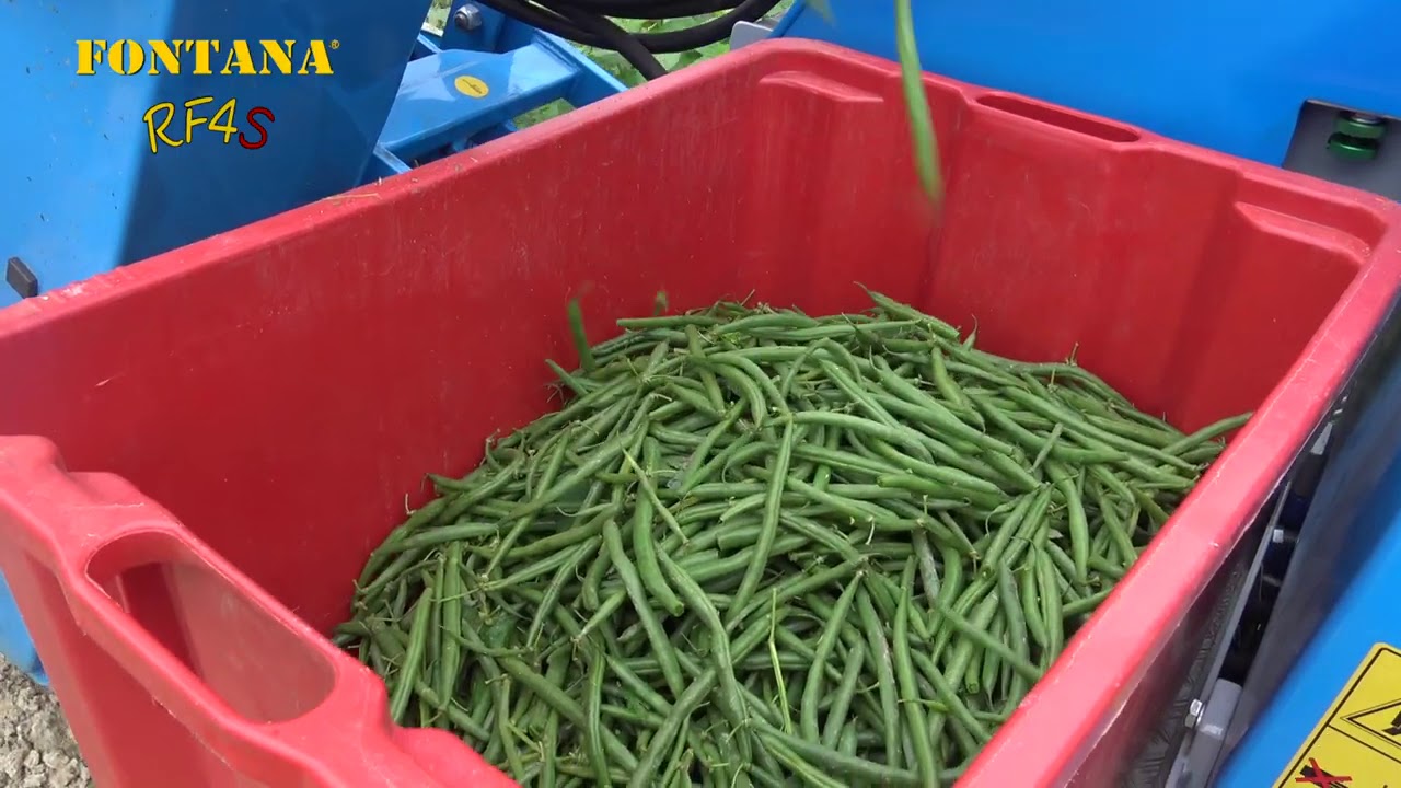 FONTANA RF4S ÖNJÁRÓ BETAKARÍTÓGÉP BABRA, ZÖLDBABRA