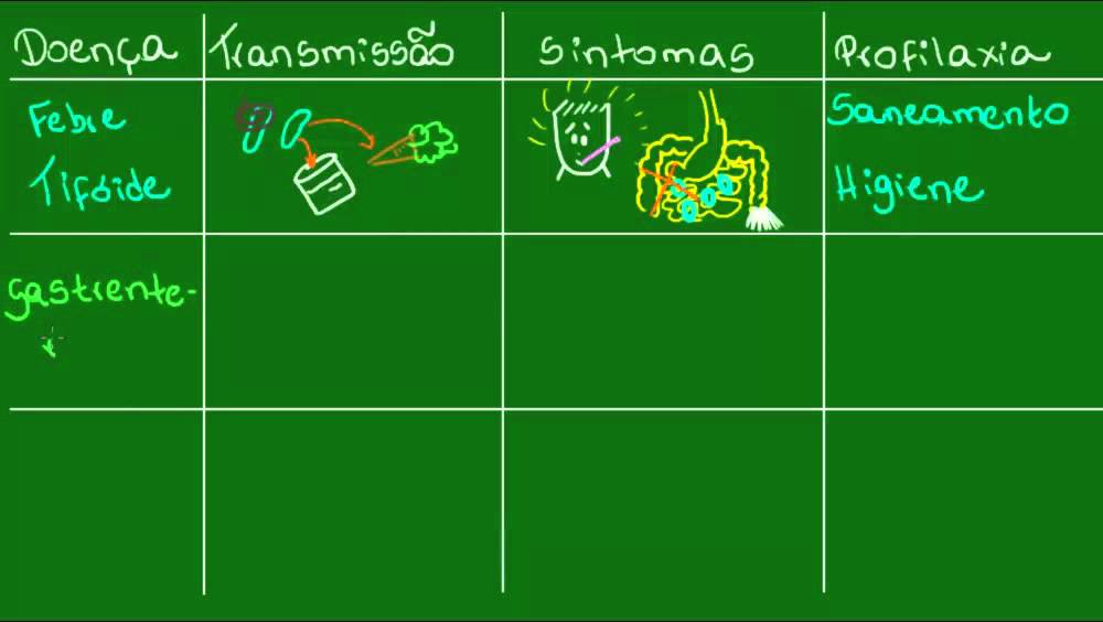 Febre tifoide, gastrenterite e salmonelose - Parasitologia - Biologia