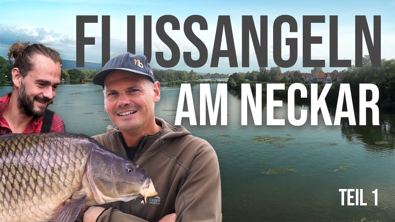 Karpfenangeln am Fluss - Wir fahren an den Neckar !