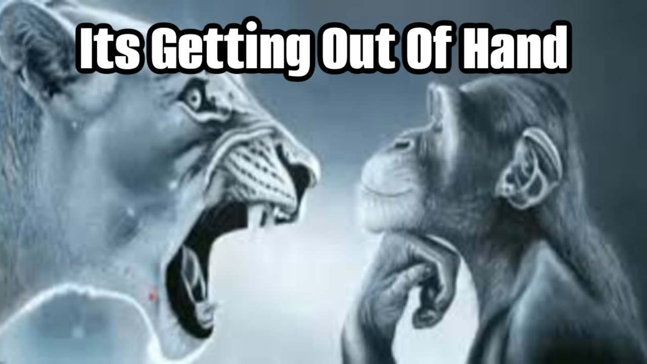 My Issues With Rage Bait