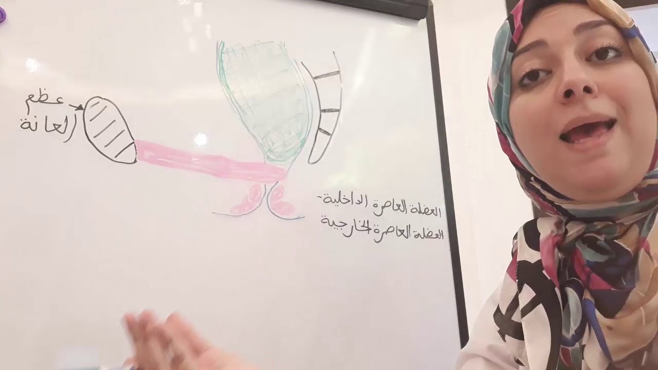 الإمساك و التغوط اللاإرادي عند الأطفال (الجزء1)  Constipation et Encoprésie de l'enfant