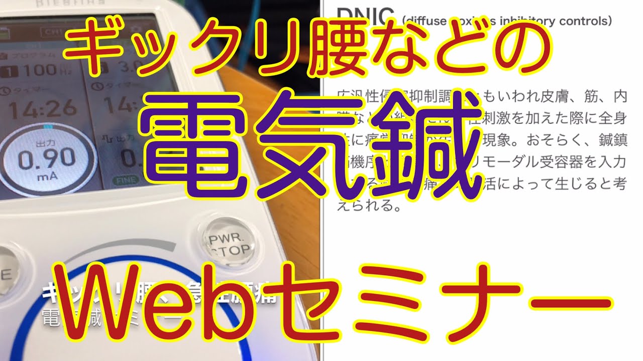 ギックリ腰の電気鍼Webセミナー