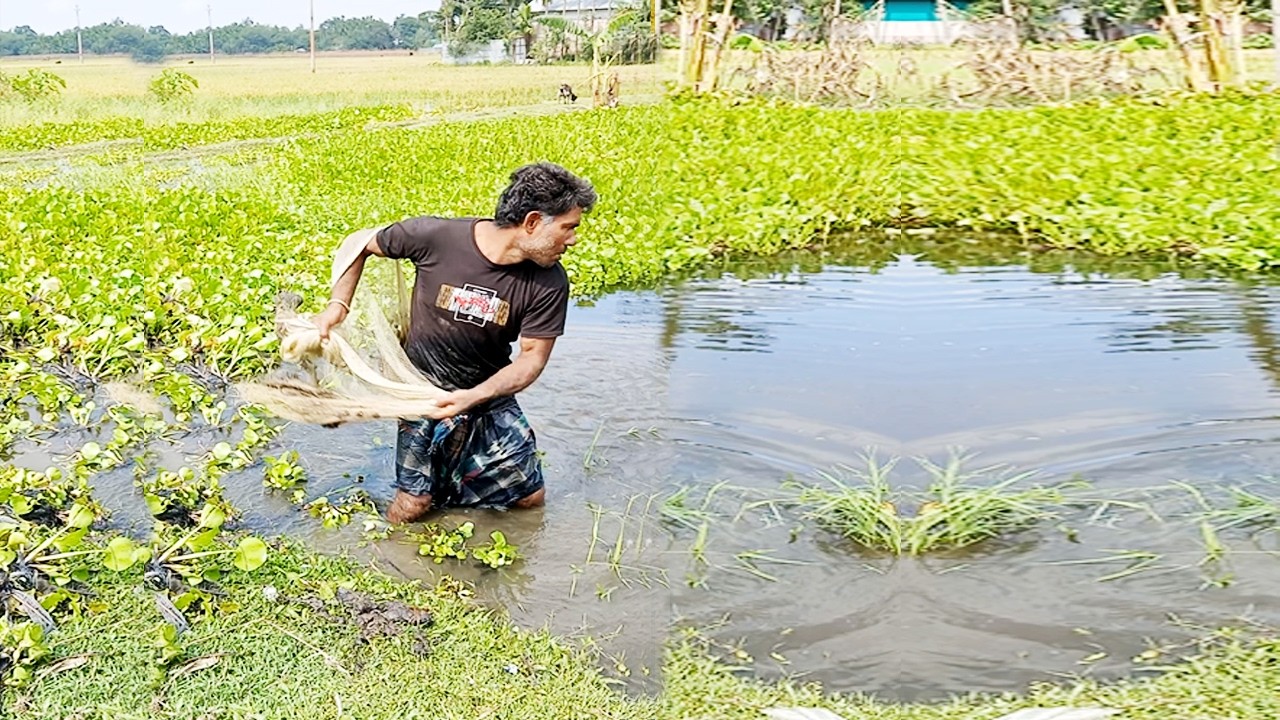 Net Fishing Video  Best Cast Net Fishing Video - Traditional Cast Net Fishing