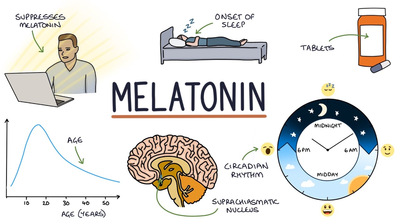 Understanding Melatonin