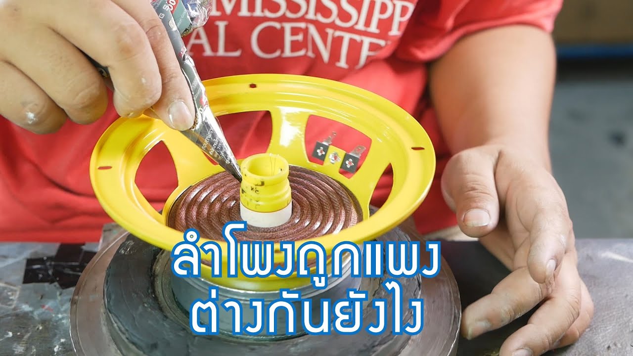 ประกอบลำโพงถูก-แพงต่างกันยังไง