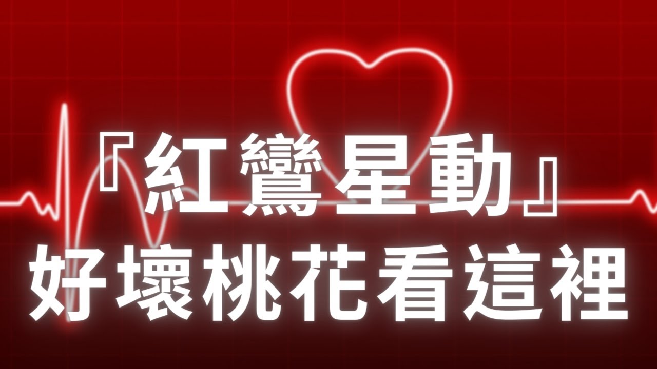 紫微斗數【紅鸞星動】好壞桃花看這裡！麥可大叔30年紫微斗數算命命理老師