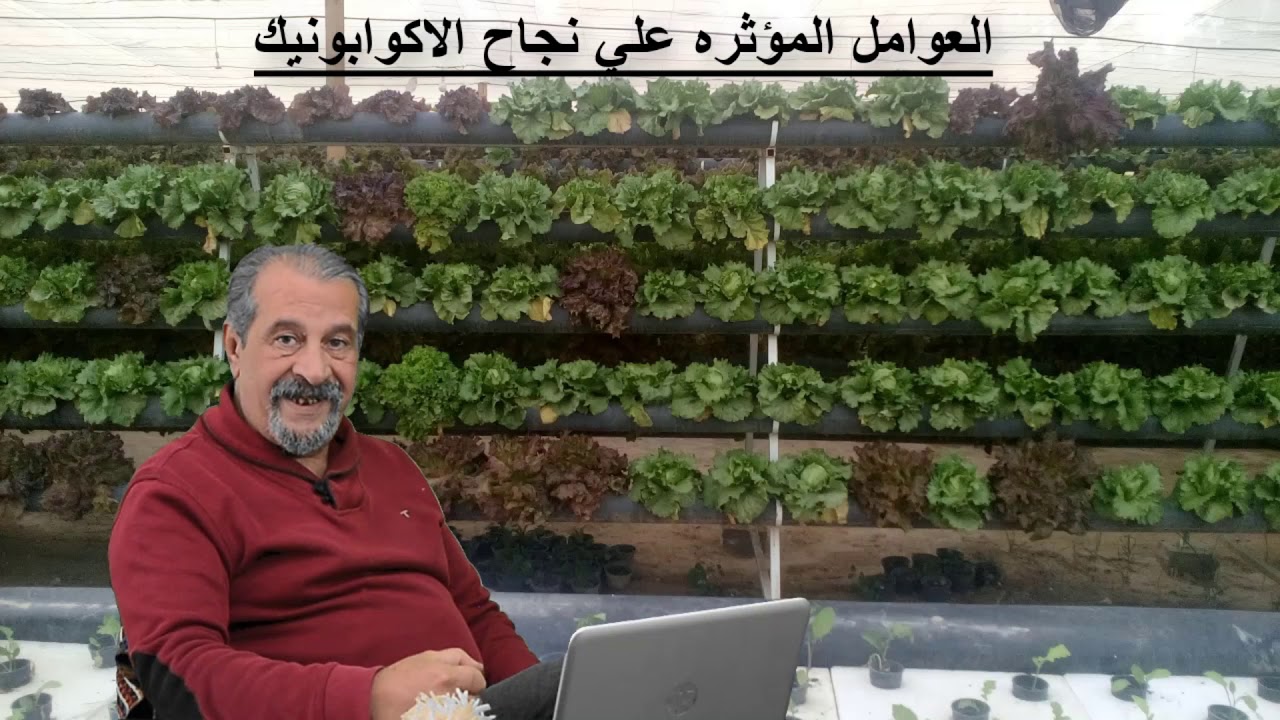 #دكتور_هشام_حجاج يشرح ماهي العوامل المؤثرة في نجاح مشروع #الاكوابونيك #الزراعة_المائية