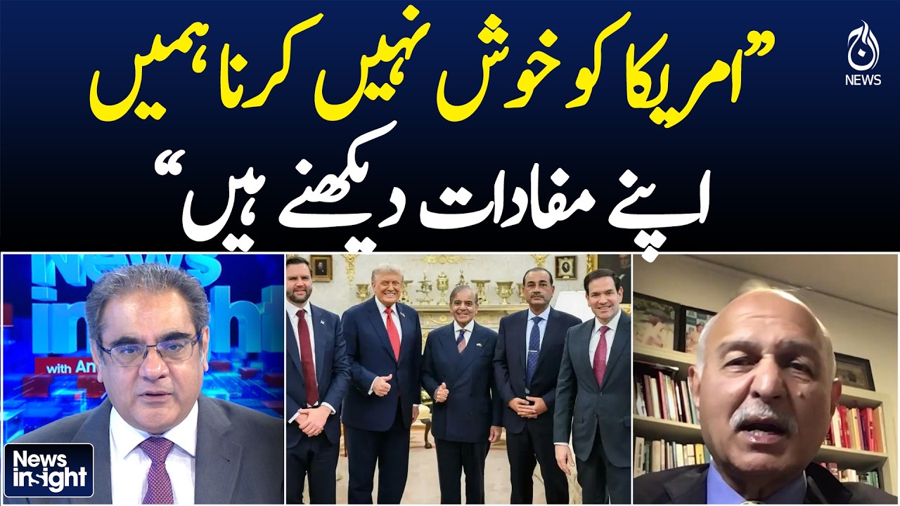 Don’t Please the US, Protect National Interests — Mushahid Hussain Statement