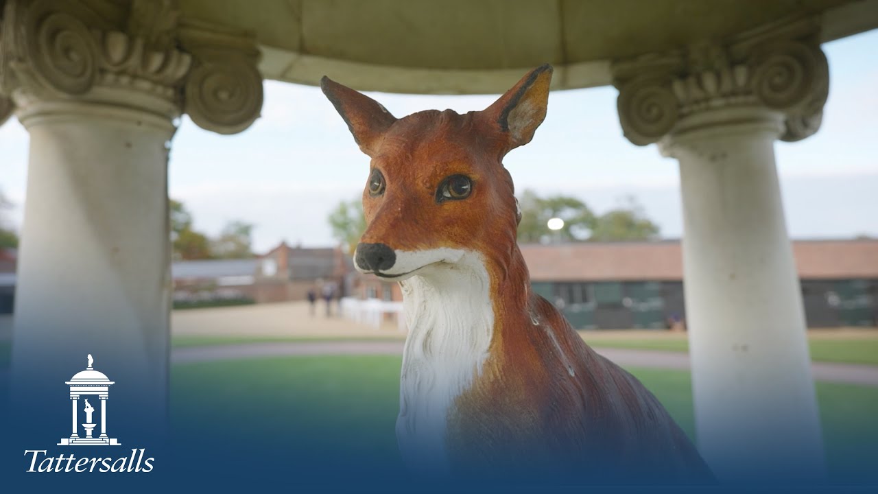 Tattersalls October Yearling Sale 2025 Review