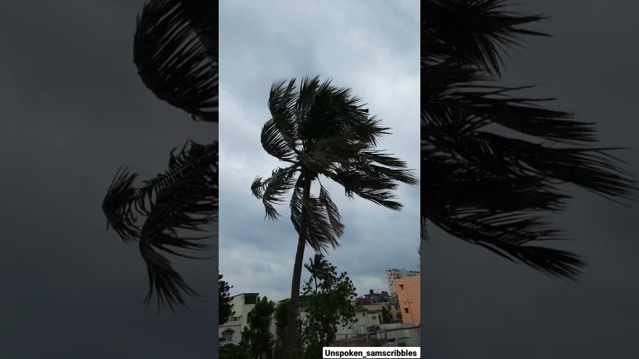 Cyclone Yaas Effect #cycloneyaas #cyclone #shorts #shortsbeta