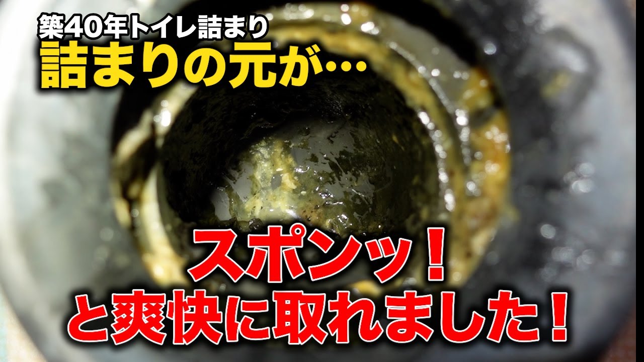 デカすぎる黒塊がゴッソリ爽快！便器を外して現れた“ブヨブヨ詰まり”の原因は？【花のお掃除 #443】