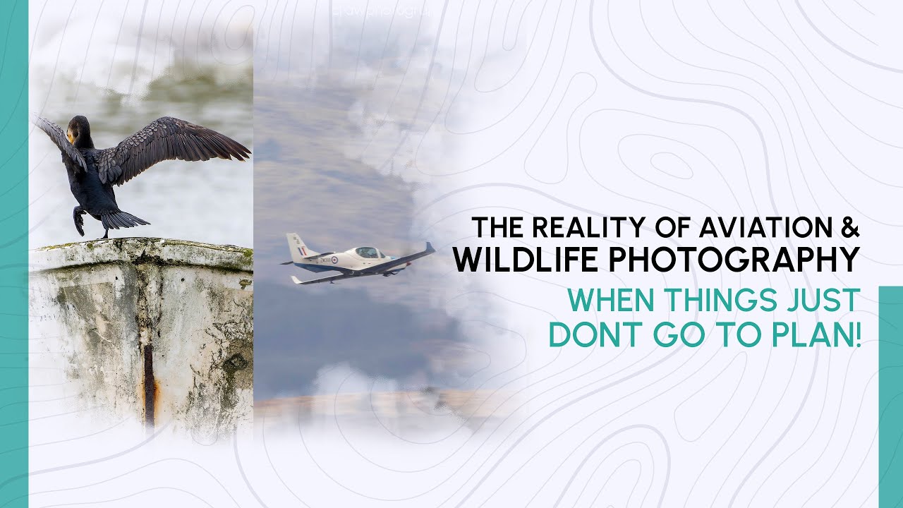 The Reality of Aviation & Wildlife Photography | When things just don't go to plan!