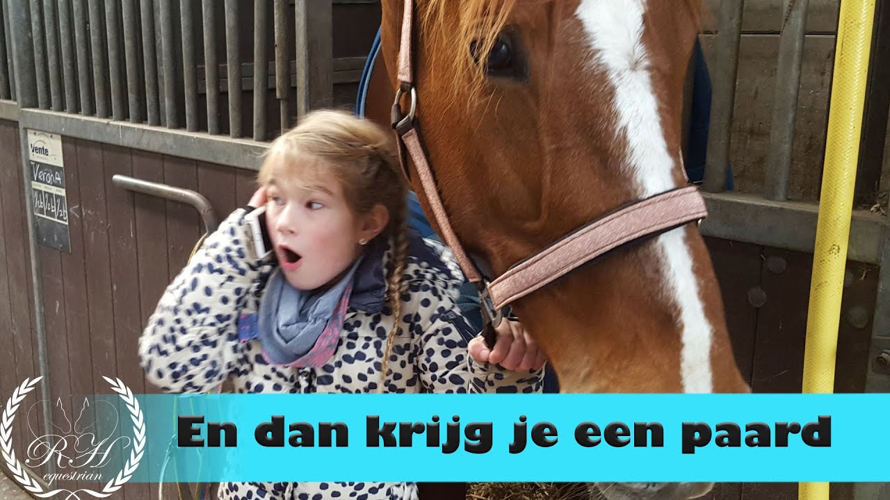 Tessa krijgt Verona, een KWPN paard  * Hart voor Paarden *