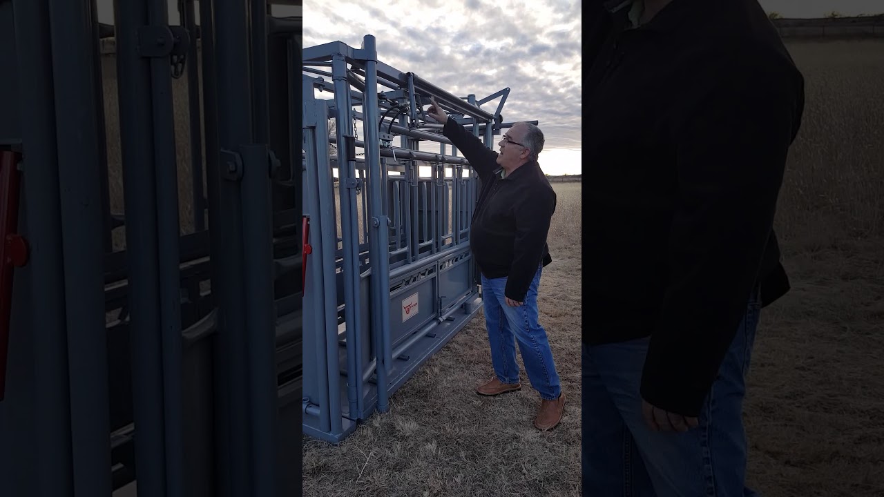 Ranch Hand Chute with Automatic Headgate.