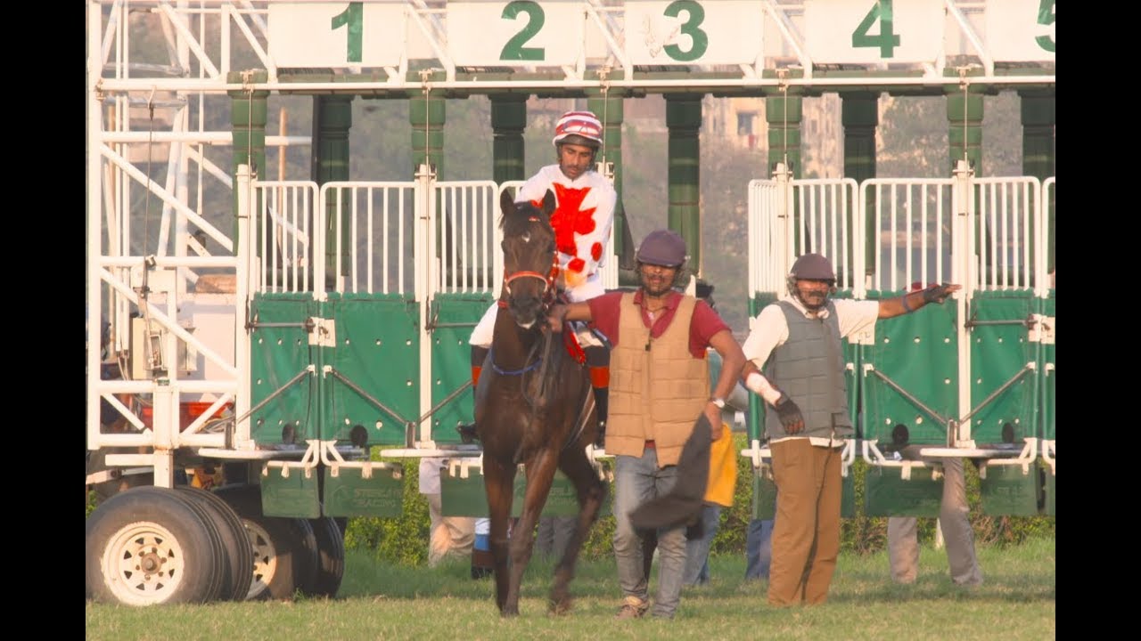 INDIAN DERBY WINNER 2018 - ROCHESTER