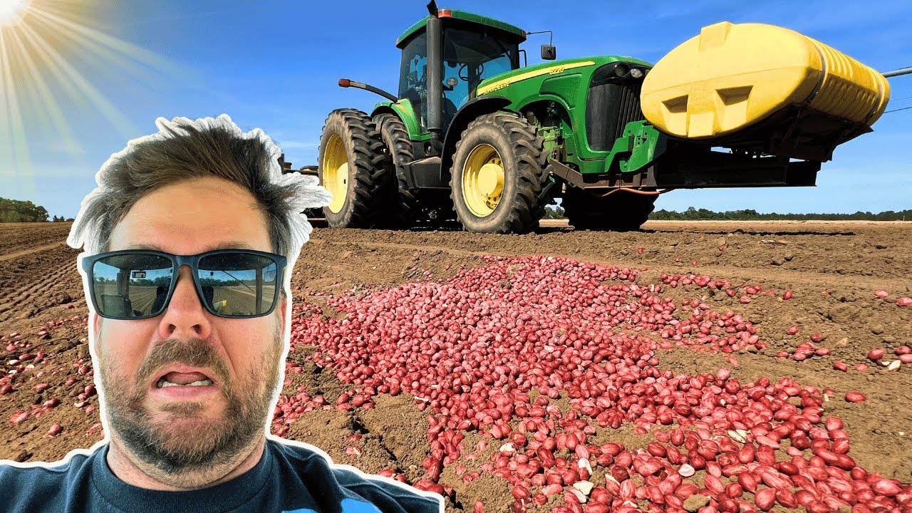 Peanuts On The Ground First Day Planting